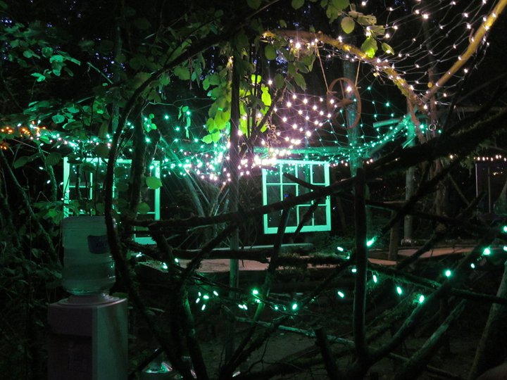 Woods stage, a dark space lit up by a web of green lights